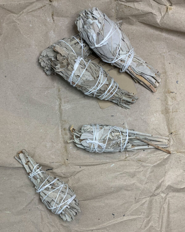 White Sage