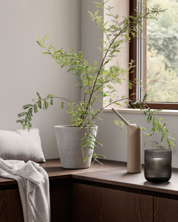 living room corner with a tree in a large pot, a watering can and a lantern with a candle in it.
