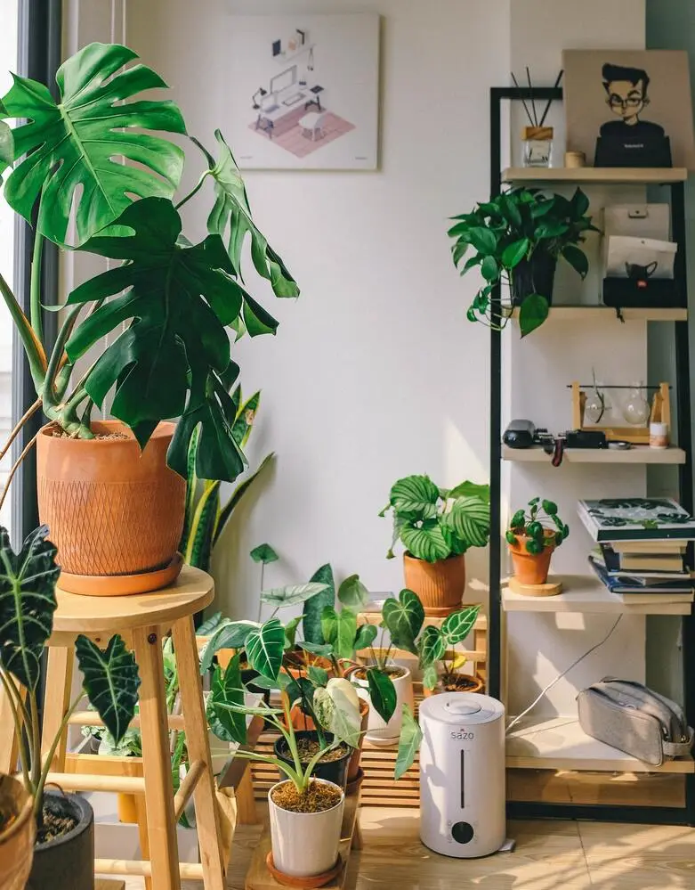 living room filled with plants