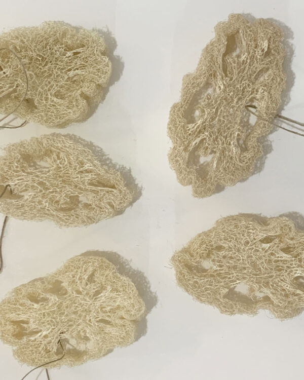 loofah sponges