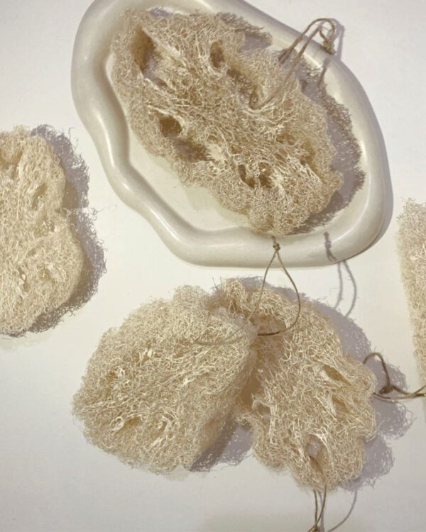loofah sponges