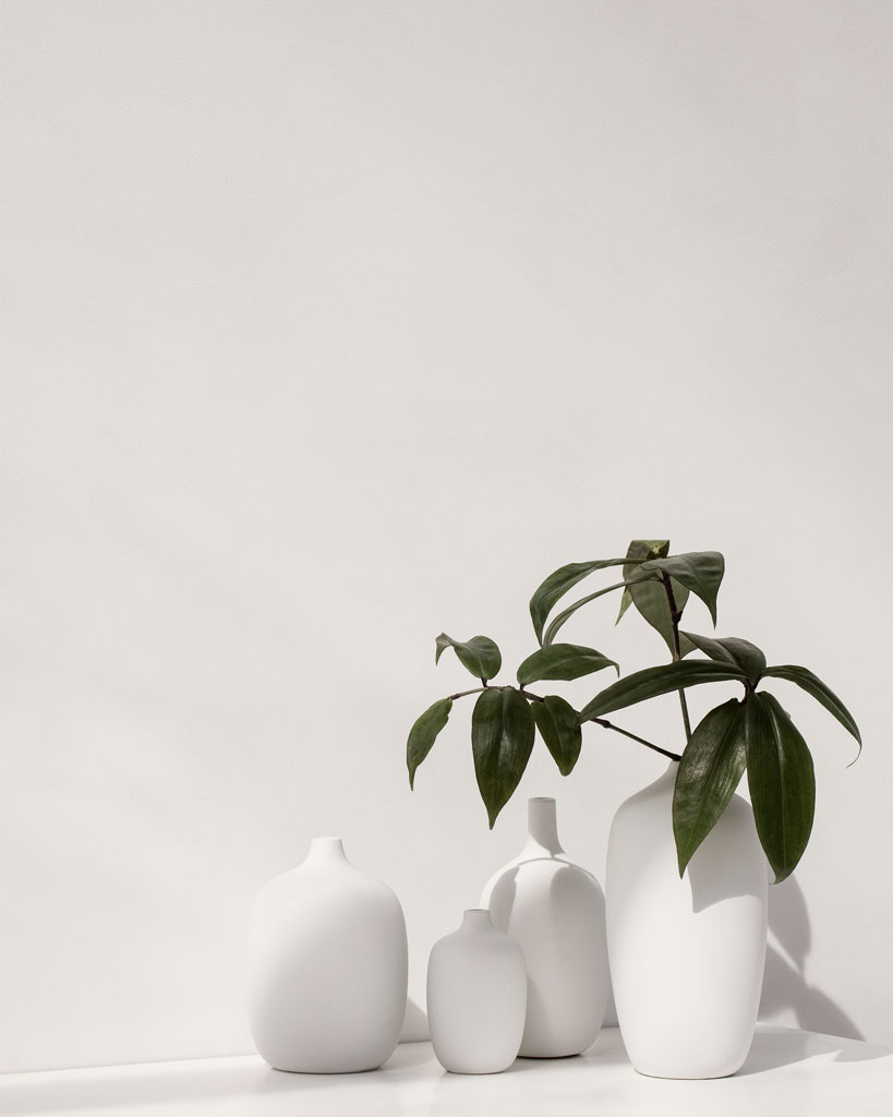 ceola white vases.