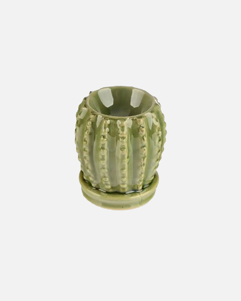 An adorable mini cactus burner made for diffusing oils and waxes