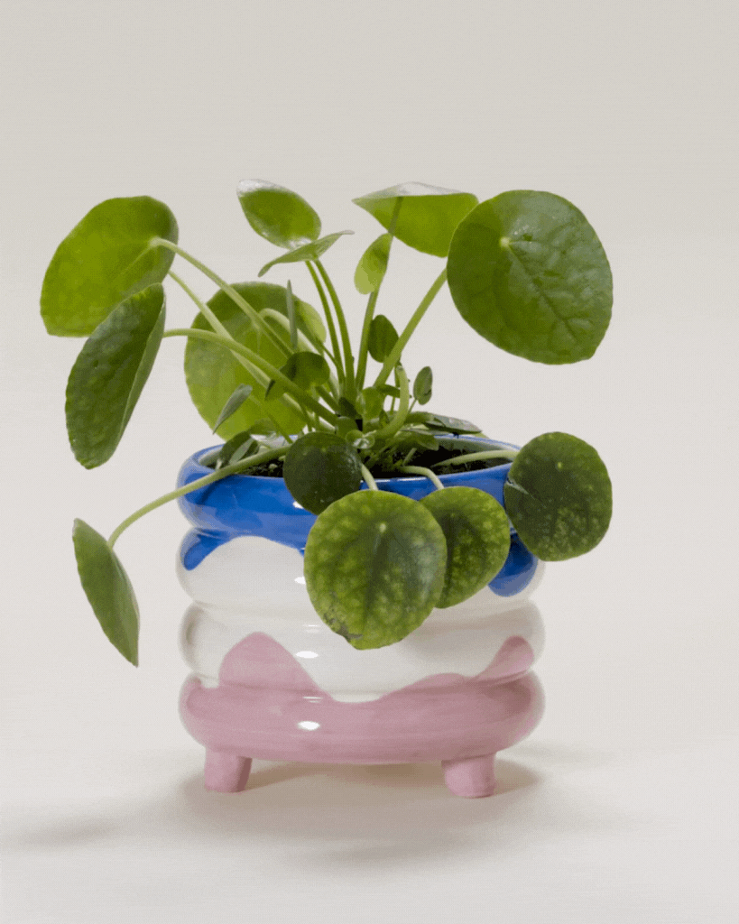 Add a touch of sophistication to your home with the Pablo plant pot. Featuring a vibrant blue, pink, and beige color combination, this handcrafted ceramic planter is the perfect stylish backdrop for your botanical friends.