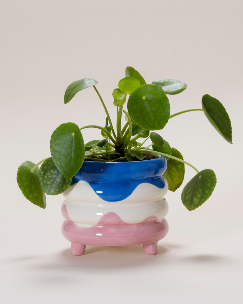 Add a touch of sophistication to your home with the Pablo plant pot. Featuring a vibrant blue, pink, and beige color combination, this handcrafted ceramic planter is the perfect stylish backdrop for your botanical friends.